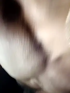 DrDickemDown88 live sex cam