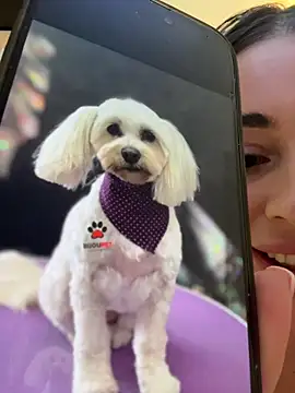 IsabellaEtthan live sex cam