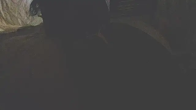 liandragostosa live sex cam