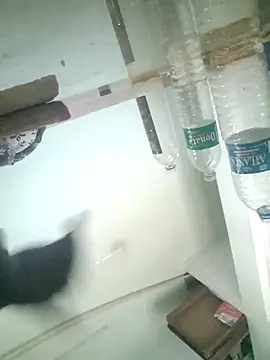 Vickyins480000 live sex cam