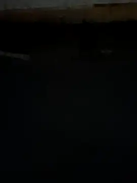 Labellasex live sex cam