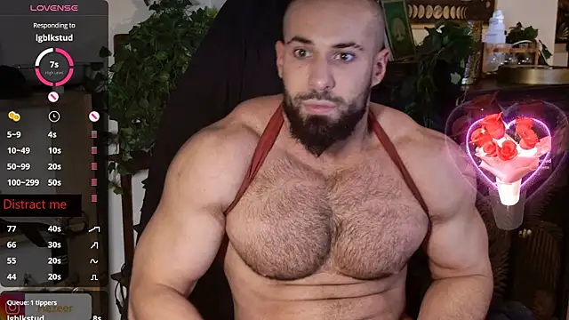 Musculus6 live sex cam