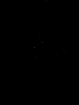 Labellasex live sex cam