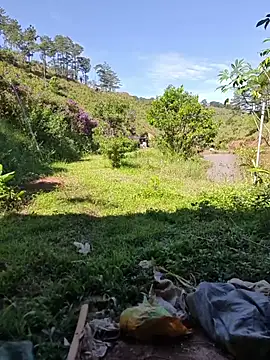 Helen-Tran live sex cam