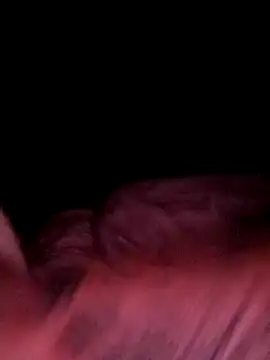 wariacik0024 live sex cam