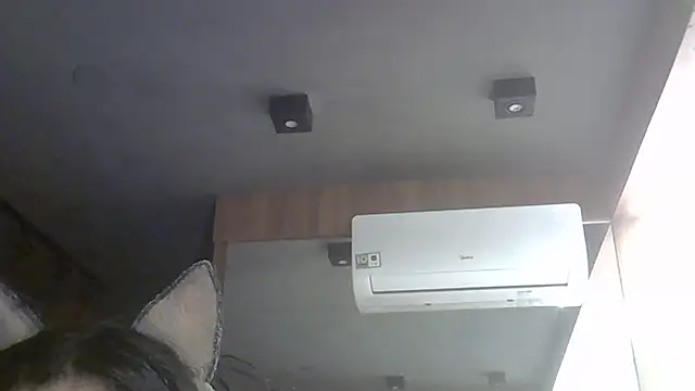 SkinnyKitten live sex cam