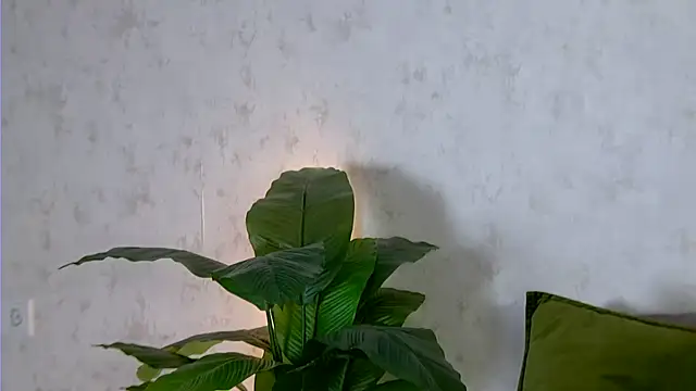 AshleyD_ live sex cam