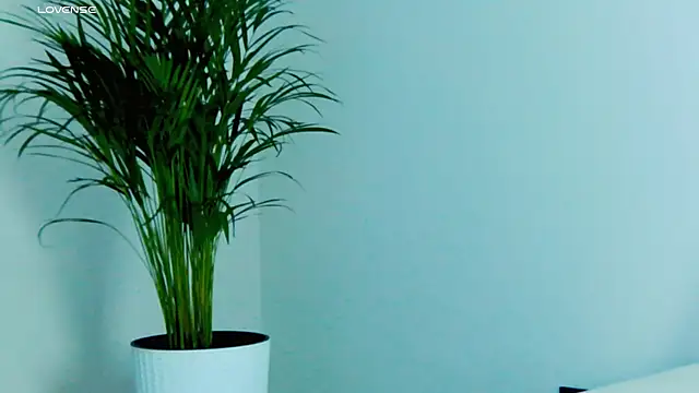 Miss_Magic_Eyes_ live sex cam