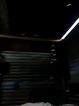 Chiseldigger live sex cam