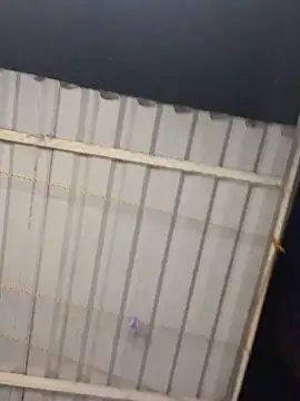 kaori_77 live sex cam