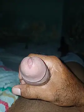 taylorWiiz live sex cam