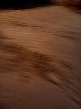 Labellasex live sex cam