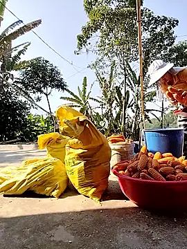 Tin_tanny live sex cam