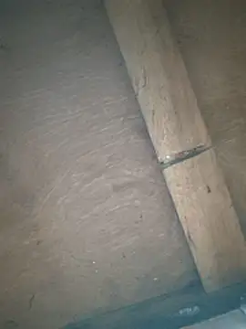 Srmotrs live sex cam