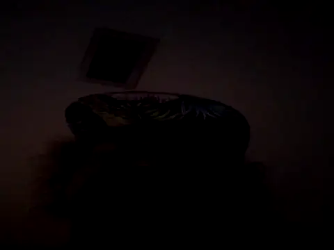 shyguy8569 live sex cam