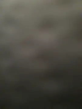 Nirvana-- live sex cam