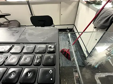 RawRyder8 live sex cam