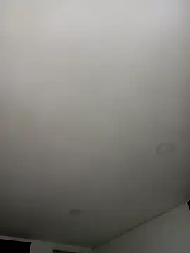 Pingasaboy20 live sex cam