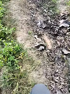 apka_rockstarr live sex cam