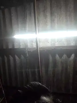 HotSexyBoudi live sex cam