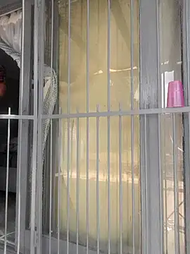 MelowD69 live sex cam