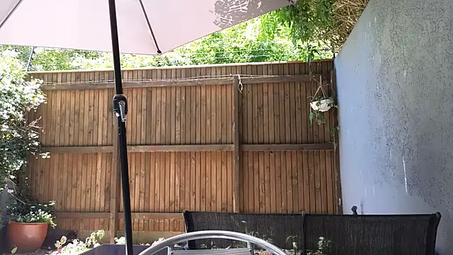 TopsyWilde live sex cam