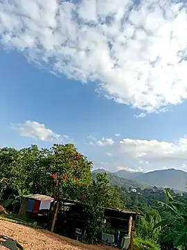 Brenda_Berck_ live sex cam