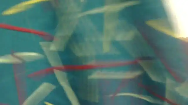 zoyaa-sexy live sex cam