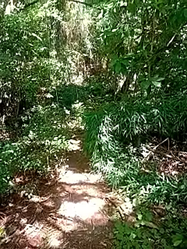 Novin4i20 live sex cam