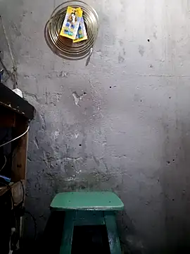 hecwil8 live sex cam