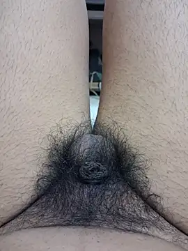 Sissydoggy live sex cam