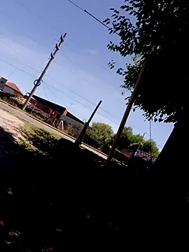 hecwil8 live sex cam