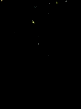 smgirls live sex cam