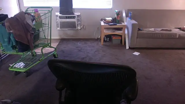 palidin1 live sex cam