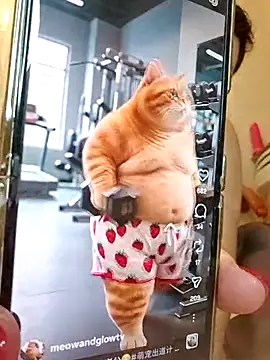 lucillabollente live sex cam