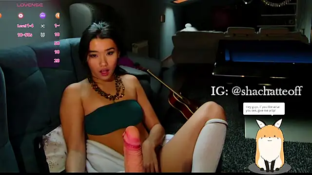 shachatteof live sex cam