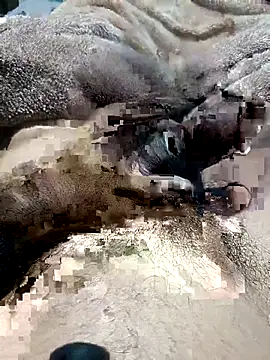 StripchatAssam93 live sex cam