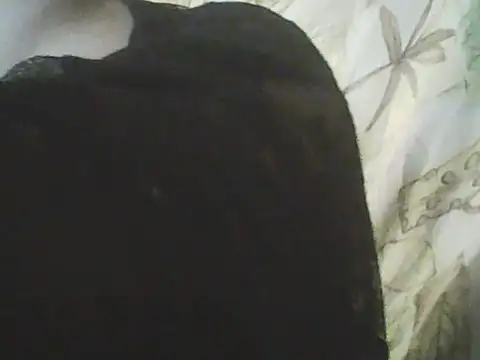 deluxpussy live sex cam