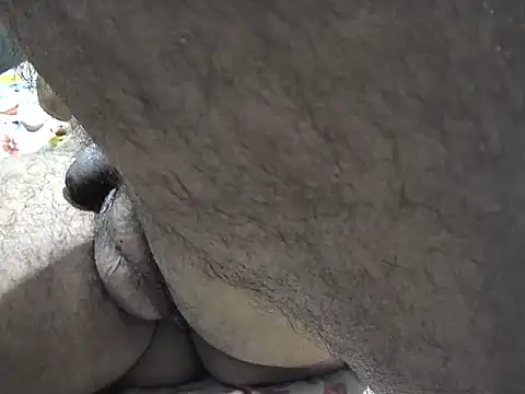 indiboy009 live sex cam