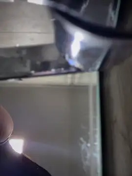 Paloma__LS live sex cam