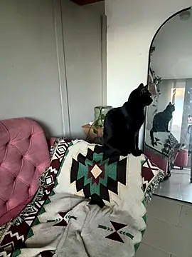 DakotaShelby live sex cam