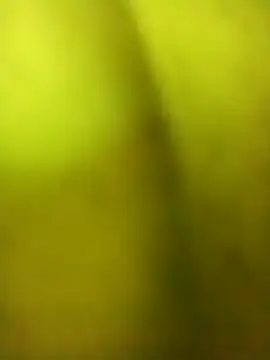 alicnonave live sex cam