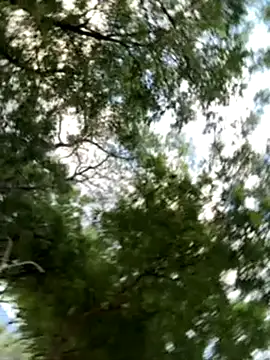 outdoors11 live sex cam