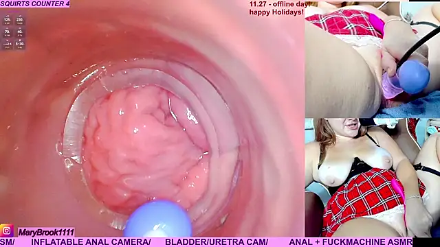 MaryBrook1 live sex cam