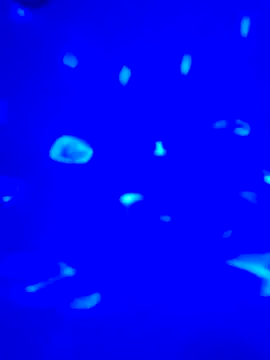 sweetandloving live sex cam