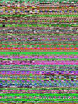 Hatasimi live sex cam