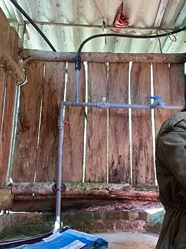 PhanHaa live sex cam