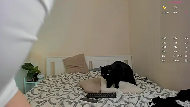 DanaCandy live sex cam