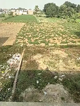 COUPLLE_VILLAGE live sex cam