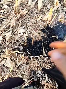 murokkk31 live sex cam